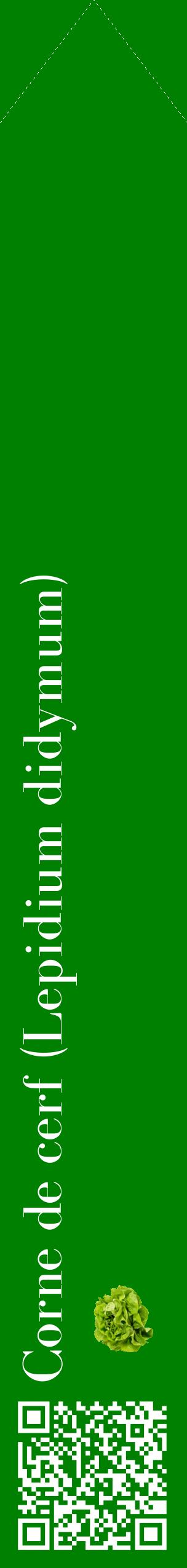 Étiquette de : Lepidium didymum - format c - style blanche9_simplebod avec qrcode et comestibilité simplifiée