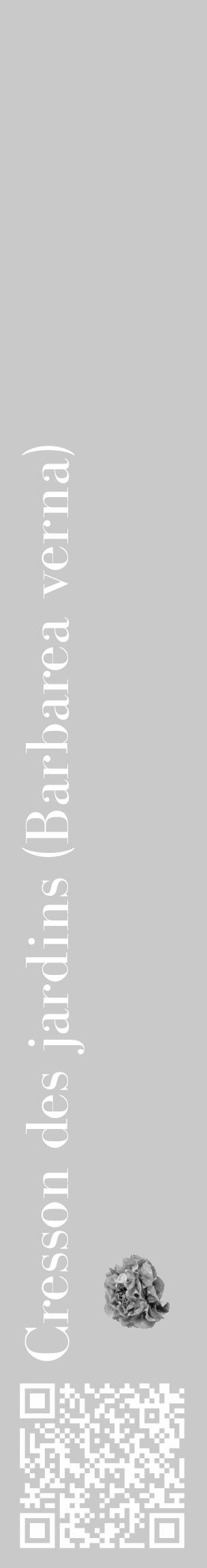 Étiquette de : Barbarea verna - format c - style blanche54_basique_basiquebod avec qrcode et comestibilité simplifiée - position verticale