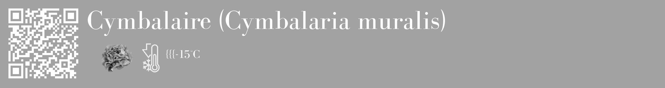 Étiquette de : Cymbalaria muralis - format c - style blanche38_basique_basiquebod avec qrcode et comestibilité simplifiée