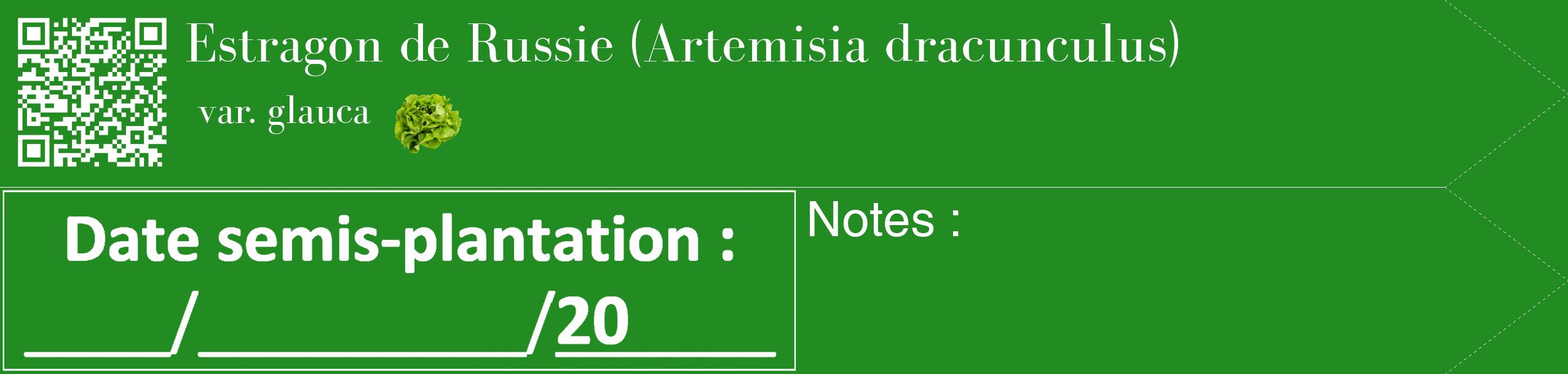 Étiquette de : Artemisia dracunculus var. glauca - format c - style blanche10_simple_simplebod avec qrcode et comestibilité simplifiée