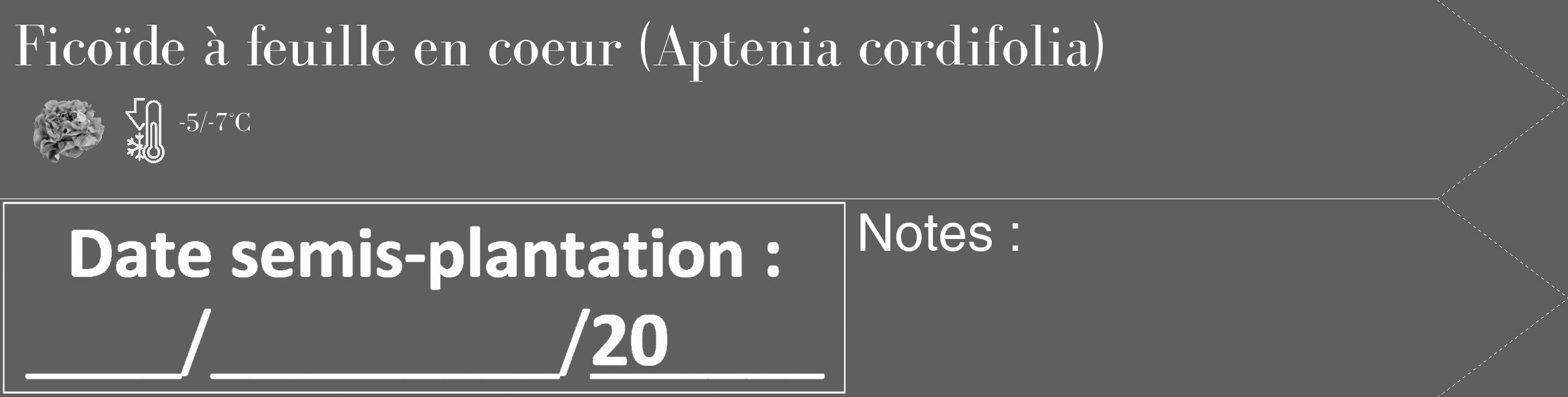 Étiquette de : Aptenia cordifolia - format c - style blanche10_simple_simplebod avec comestibilité simplifiée