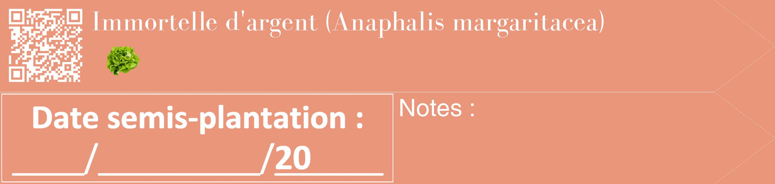 Étiquette de : Anaphalis margaritacea - format c - style blanche37_simple_simplebod avec qrcode et comestibilité simplifiée