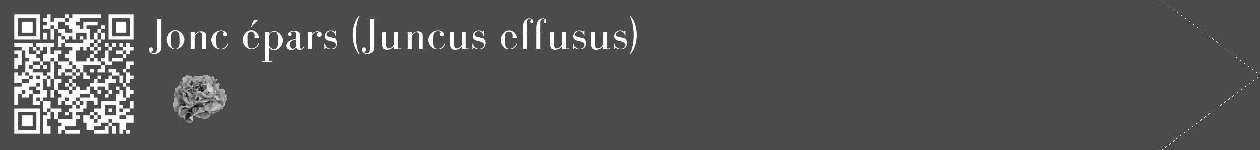 Étiquette de : Juncus effusus - format c - style blanche9_simple_simplebod avec qrcode et comestibilité simplifiée