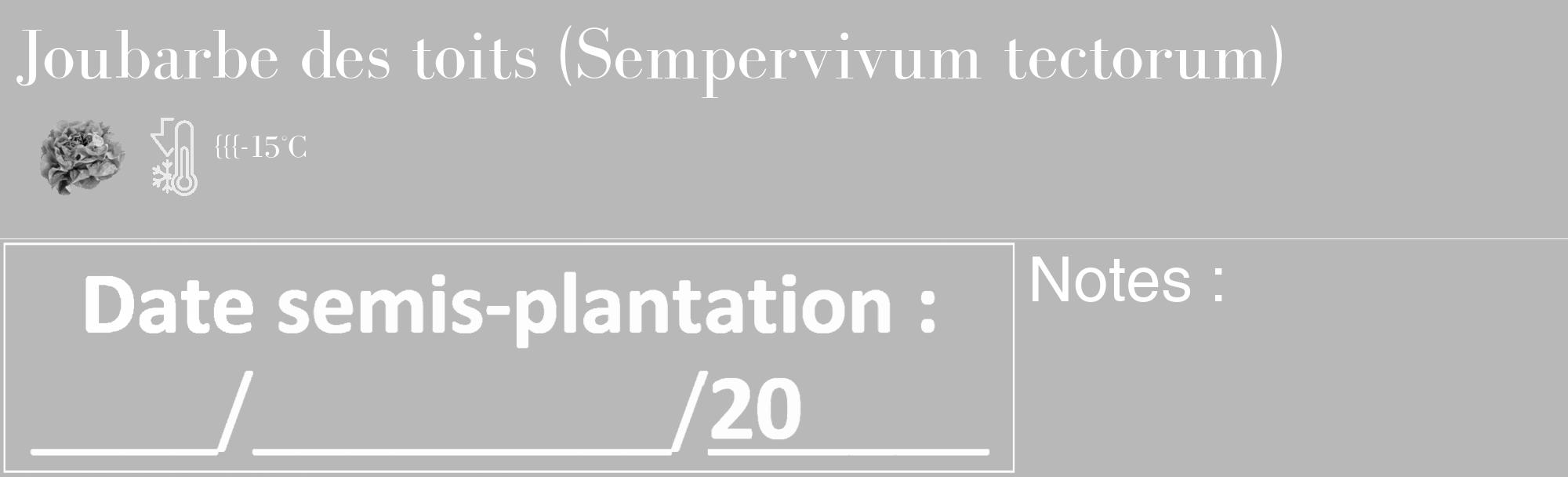 Étiquette de : Sempervivum tectorum - format c - style blanche39_basique_basiquebod avec comestibilité simplifiée