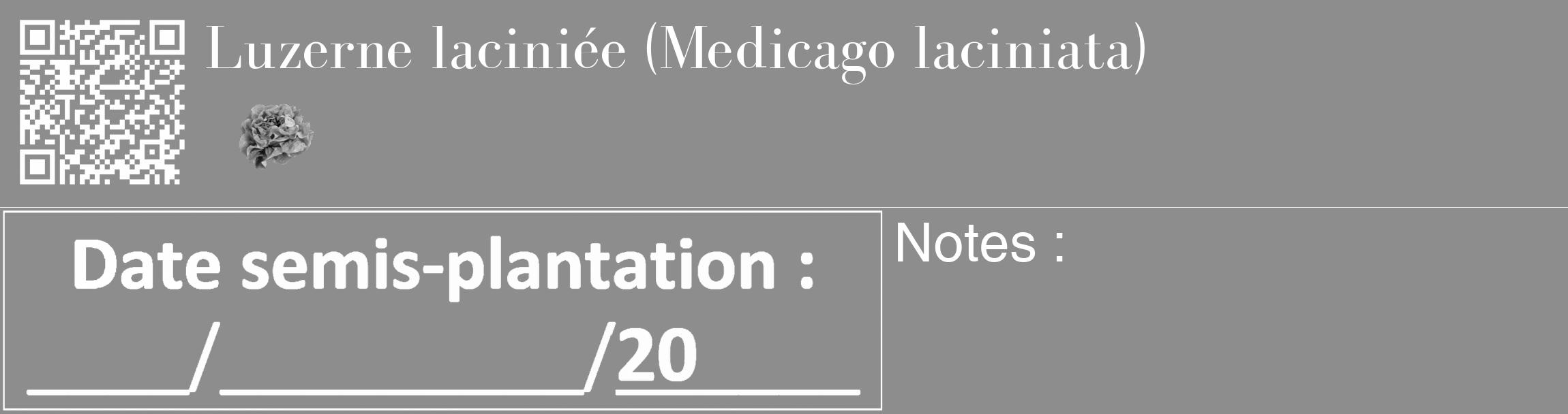 Étiquette de : Medicago laciniata - format c - style blanche2_basique_basiquebod avec qrcode et comestibilité simplifiée