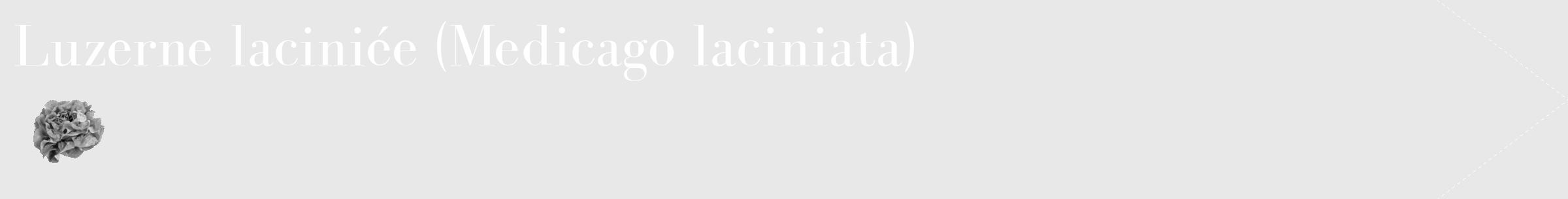 Étiquette de : Medicago laciniata - format c - style blanche55_simple_simplebod avec comestibilité simplifiée