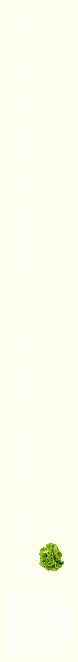 Étiquette de : Mentha micrantha - format c - style blanche19_simplebod avec qrcode et comestibilité simplifiée
