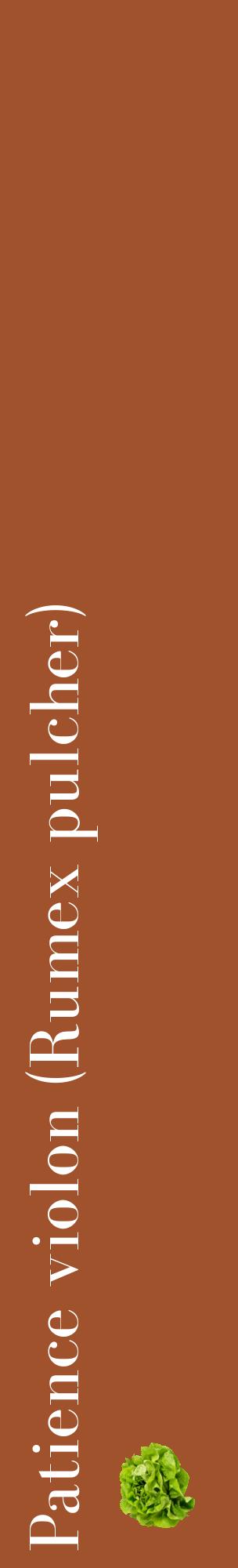 Étiquette de : Rumex pulcher - format c - style blanche32_basiquebod avec comestibilité simplifiée