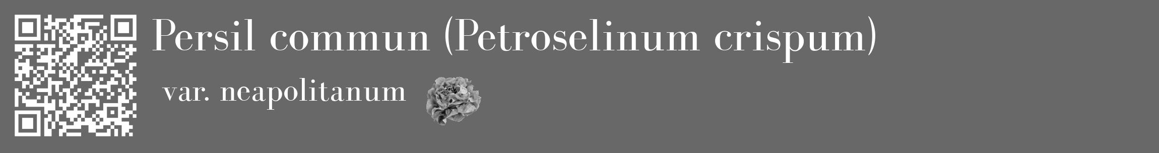 Étiquette de : Petroselinum crispum var. neapolitanum - format c - style blanche6_basique_basiquebod avec qrcode et comestibilité simplifiée