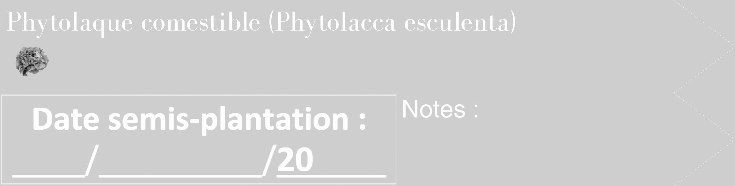 Étiquette de : Phytolacca esculenta - format c - style blanche17_simple_simplebod avec comestibilité simplifiée
