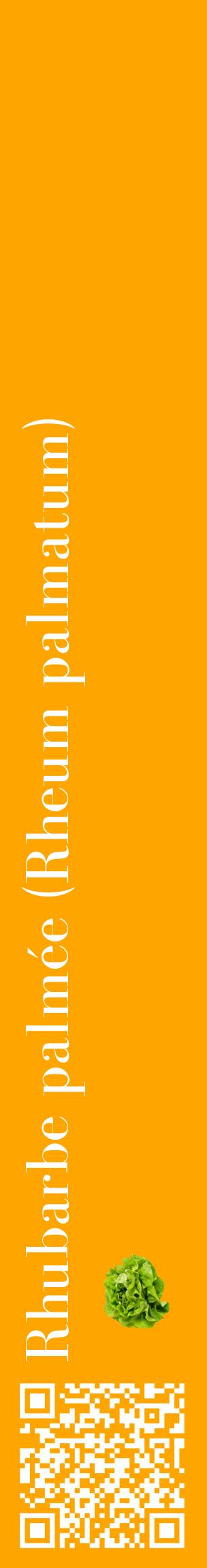 Étiquette de : Rheum palmatum - format c - style blanche22_basiquebod avec qrcode et comestibilité simplifiée