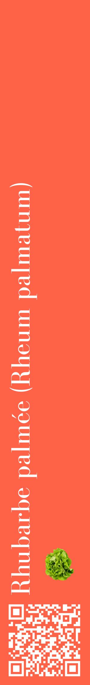 Étiquette de : Rheum palmatum - format c - style blanche25_basiquebod avec qrcode et comestibilité simplifiée