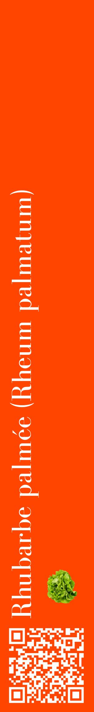 Étiquette de : Rheum palmatum - format c - style blanche26_basiquebod avec qrcode et comestibilité simplifiée