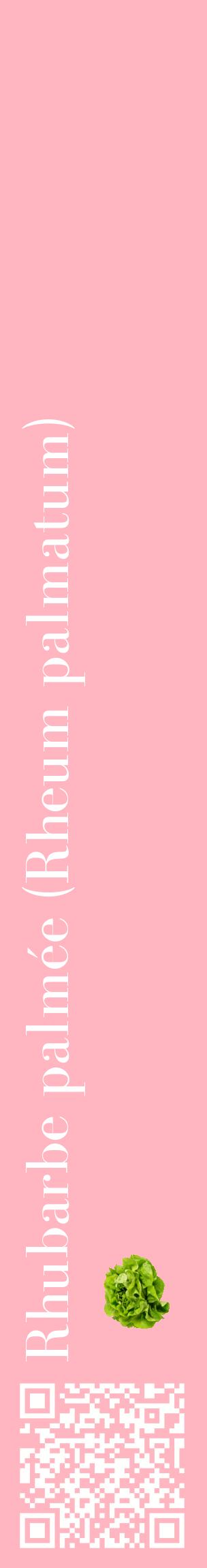 Étiquette de : Rheum palmatum - format c - style blanche41_basiquebod avec qrcode et comestibilité simplifiée
