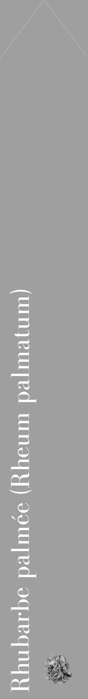 Étiquette de : Rheum palmatum - format c - style blanche24_simple_simplebod avec comestibilité simplifiée - position verticale