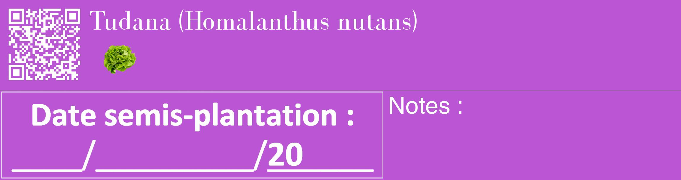 Étiquette de : Homalanthus nutans - format c - style blanche50_basique_basiquebod avec qrcode et comestibilité simplifiée