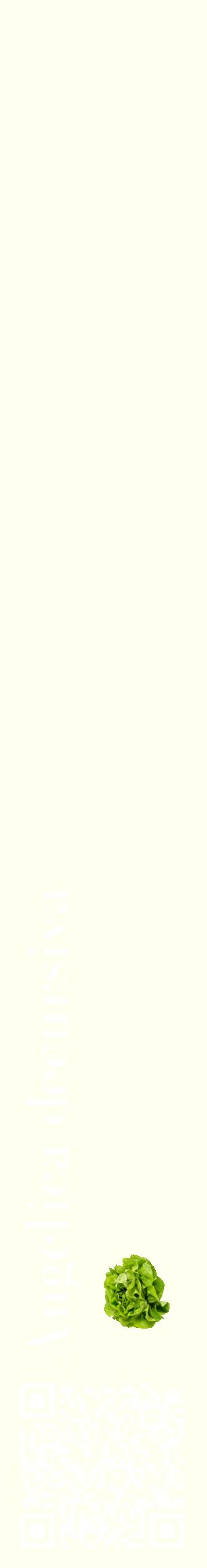 Étiquette de : Angelica decursiva - format c - style blanche19_basiquebod avec qrcode et comestibilité simplifiée