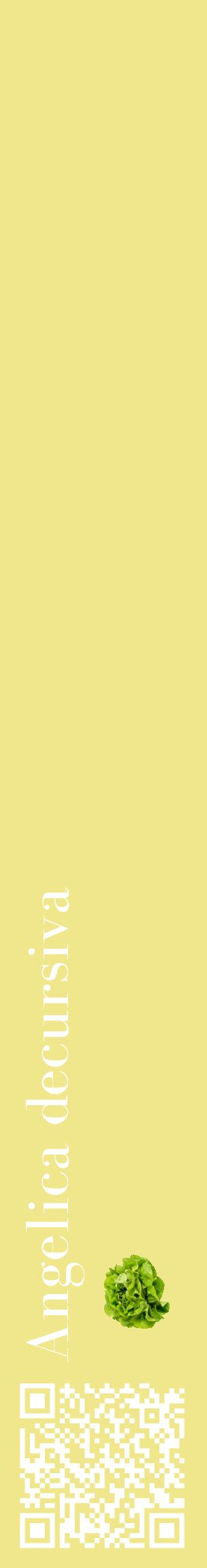 Étiquette de : Angelica decursiva - format c - style blanche20_basiquebod avec qrcode et comestibilité simplifiée