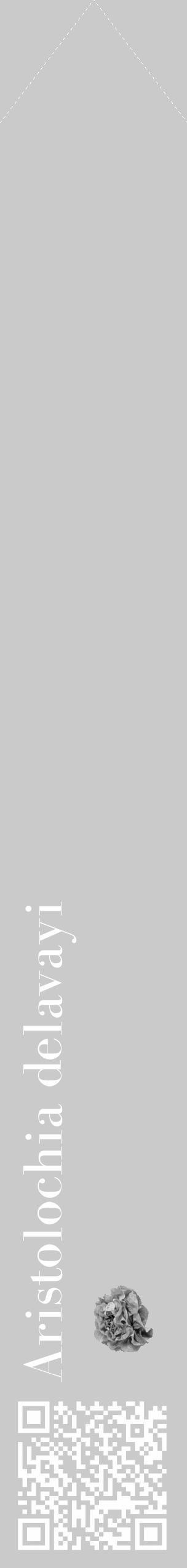Étiquette de : Aristolochia delavayi - format c - style blanche21_simple_simplebod avec qrcode et comestibilité simplifiée - position verticale