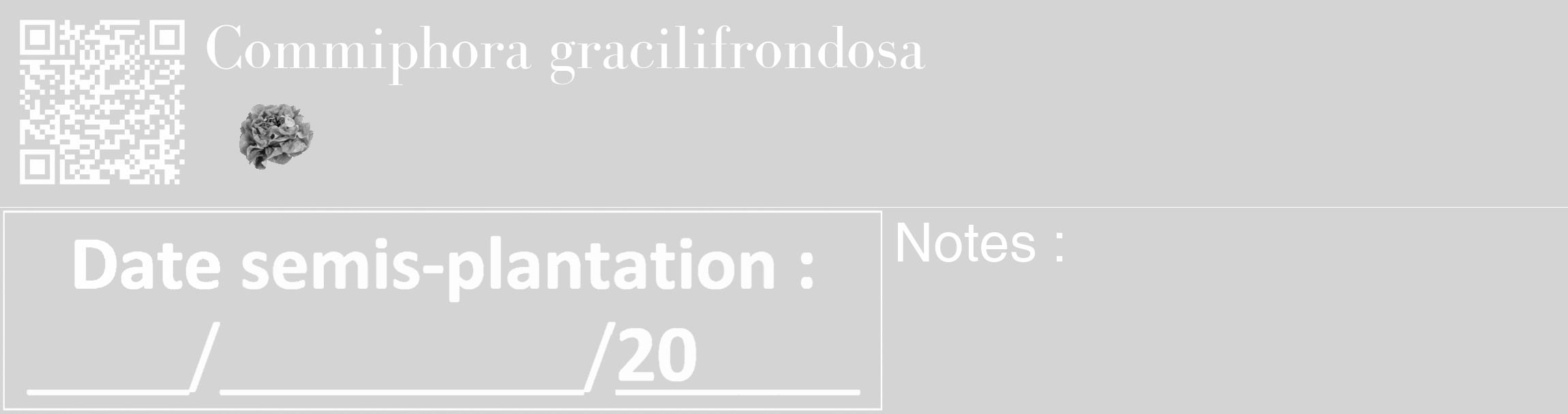 Étiquette de : Commiphora gracilifrondosa - format c - style blanche40_basique_basiquebod avec qrcode et comestibilité simplifiée