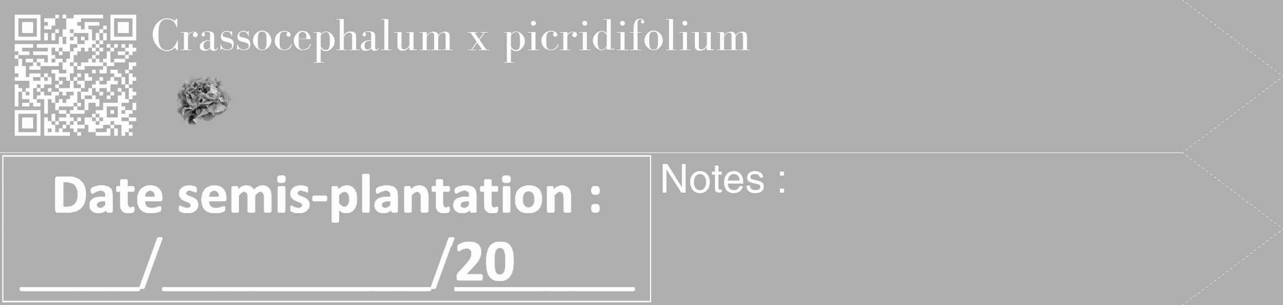 Étiquette de : Crassocephalum x picridifolium - format c - style blanche53_simple_simplebod avec qrcode et comestibilité simplifiée