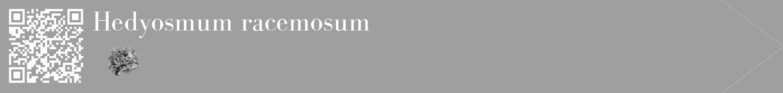Étiquette de : Hedyosmum racemosum - format c - style blanche24_simple_simplebod avec qrcode et comestibilité simplifiée