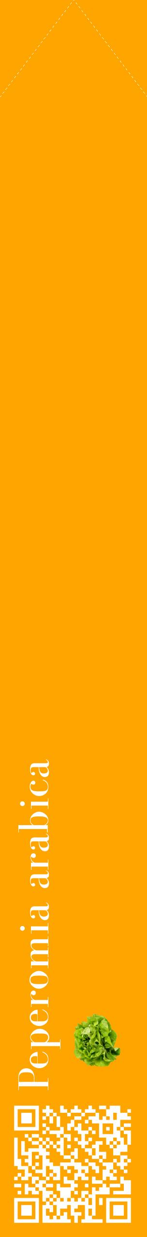 Étiquette de : Peperomia arabica - format c - style blanche22_simplebod avec qrcode et comestibilité simplifiée