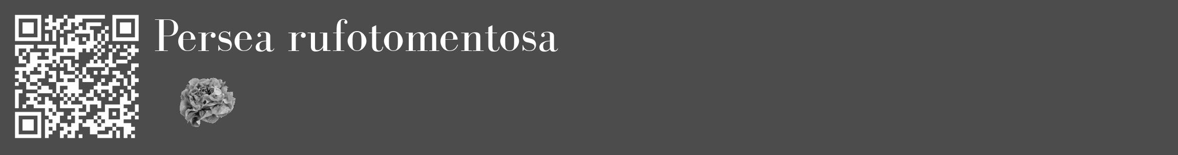 Étiquette de : Persea rufotomentosa - format c - style blanche27_basique_basiquebod avec qrcode et comestibilité simplifiée