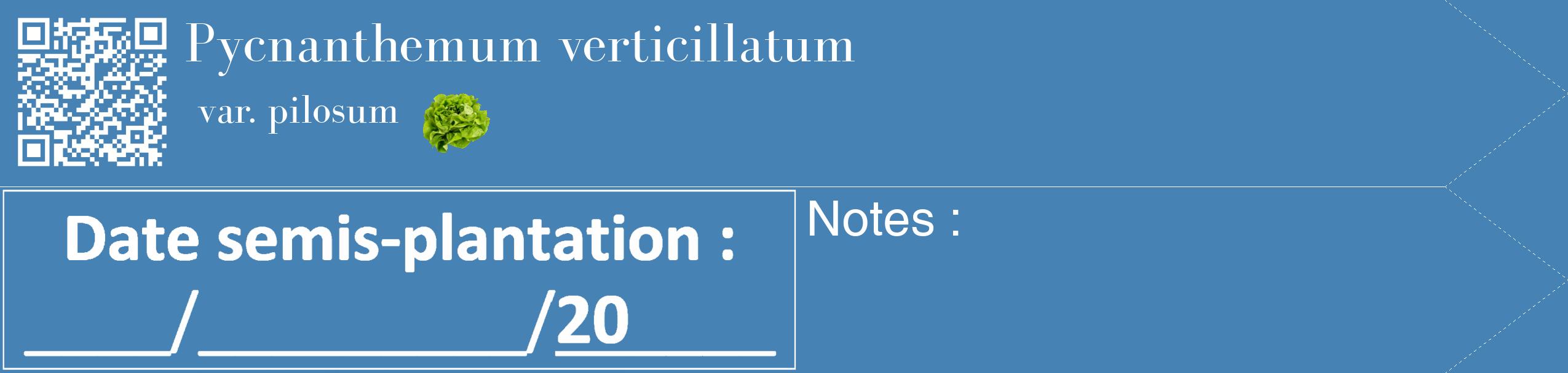 Étiquette de : Pycnanthemum verticillatum var. pilosum - format c - style blanche5_simple_simplebod avec qrcode et comestibilité simplifiée