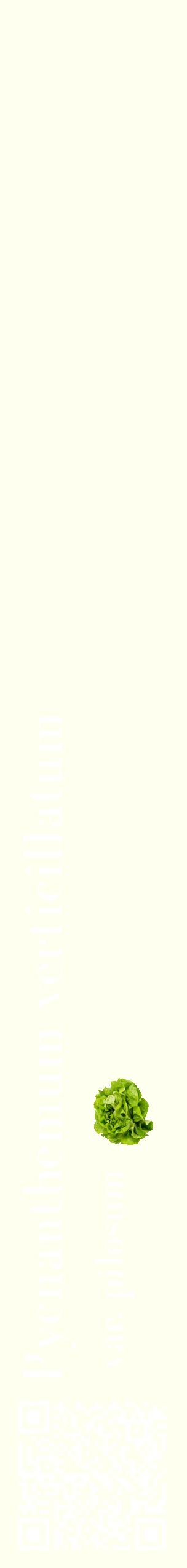 Étiquette de : Pycnanthemum verticillatum var. pilosum - format c - style blanche19_simplebod avec qrcode et comestibilité simplifiée