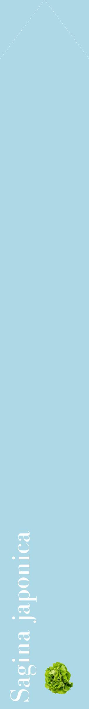 Étiquette de : Sagina japonica - format c - style blanche0_simplebod avec comestibilité simplifiée