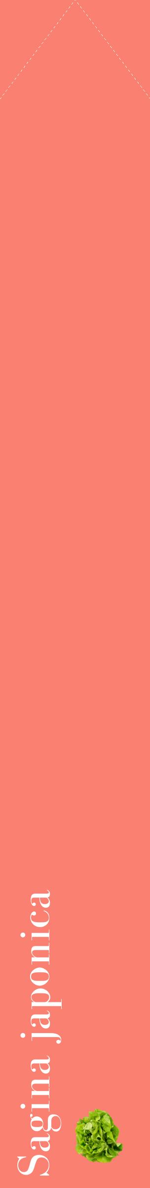 Étiquette de : Sagina japonica - format c - style blanche38_simplebod avec comestibilité simplifiée