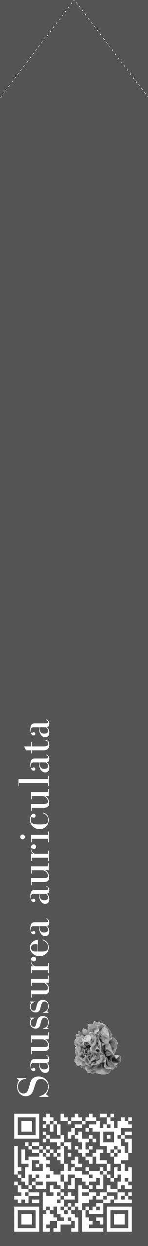 Étiquette de : Saussurea auriculata - format c - style blanche36_simple_simplebod avec qrcode et comestibilité simplifiée - position verticale