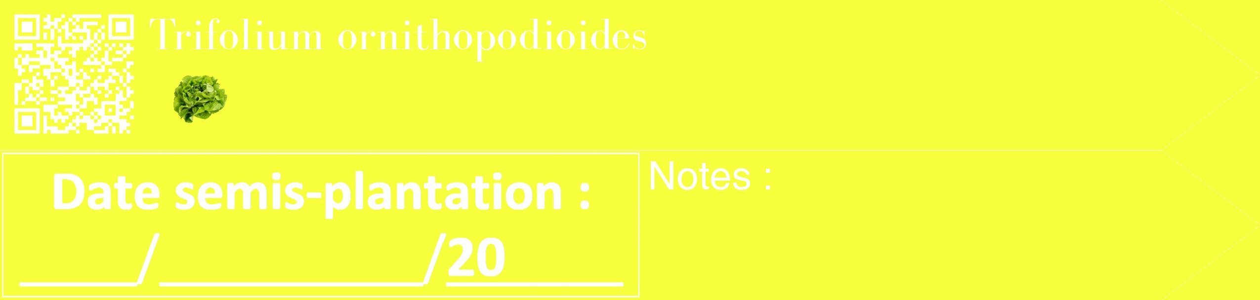 Étiquette de : Trifolium ornithopodioides - format c - style blanche18_simple_simplebod avec qrcode et comestibilité simplifiée