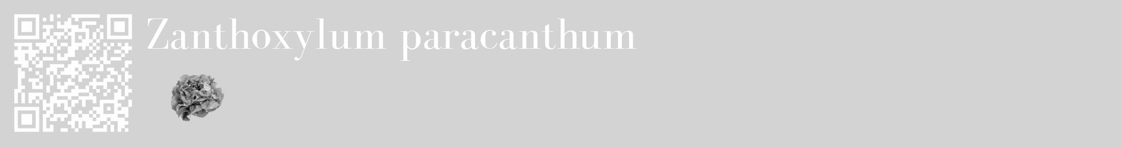 Étiquette de : Zanthoxylum paracanthum - format c - style blanche56_basique_basiquebod avec qrcode et comestibilité simplifiée