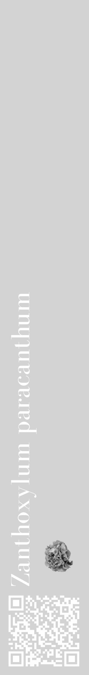 Étiquette de : Zanthoxylum paracanthum - format c - style blanche56_basique_basiquebod avec qrcode et comestibilité simplifiée - position verticale