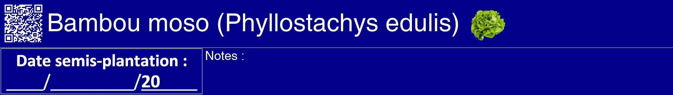 Étiquette de : Phyllostachys edulis - format a - style blanche7hel avec qrcode et comestibilité simplifiée