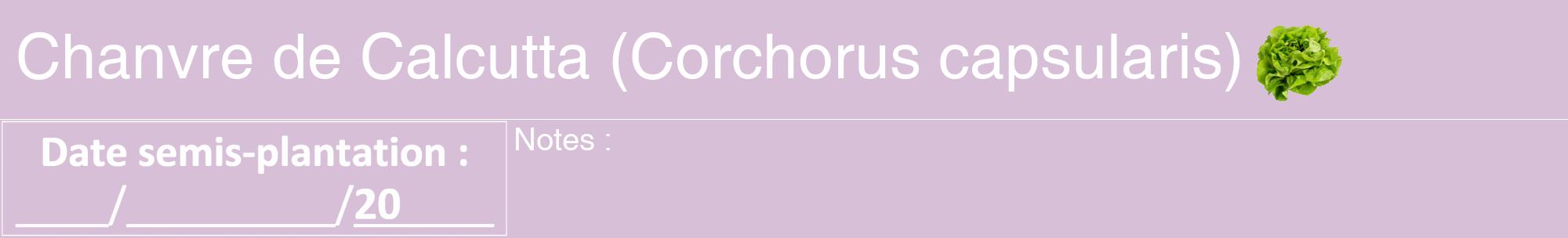 Étiquette de : Corchorus capsularis - format a - style blanche54hel avec comestibilité simplifiée
