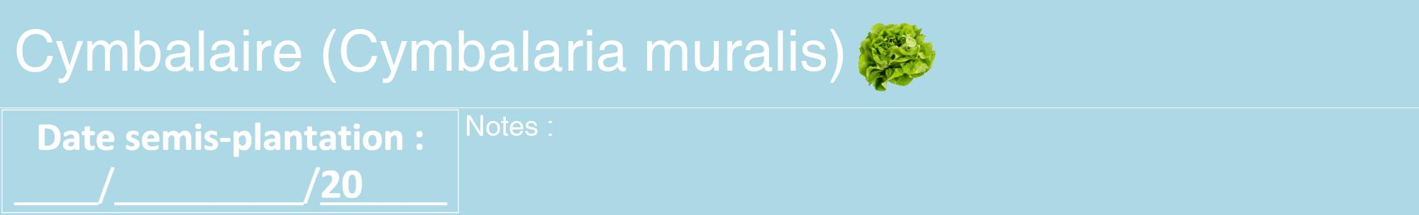Étiquette de : Cymbalaria muralis - format a - style blanche0hel avec comestibilité simplifiée