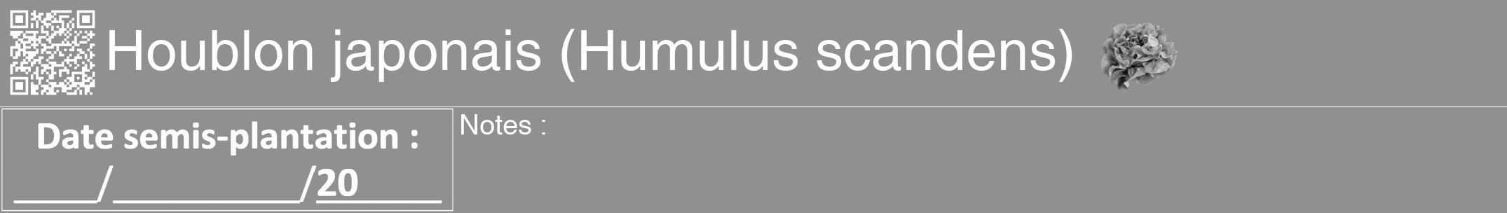 Étiquette de : Humulus scandens - format a - style blanche4hel avec qrcode et comestibilité simplifiée