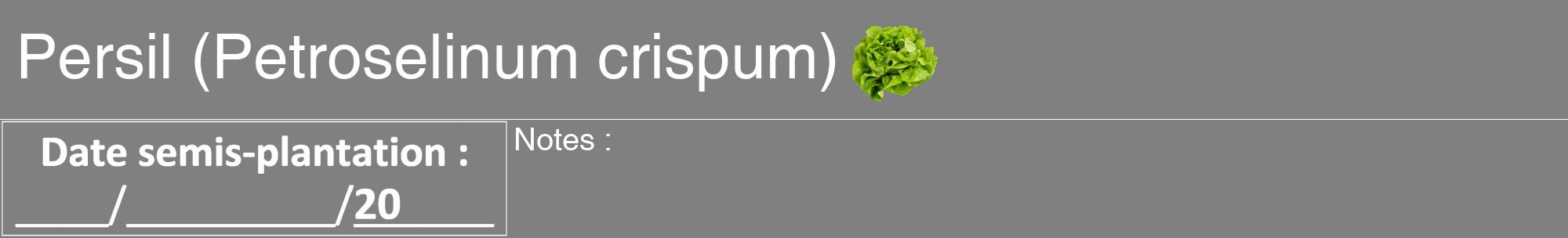 Étiquette de : Petroselinum crispum - format a - style blanche57hel avec comestibilité simplifiée