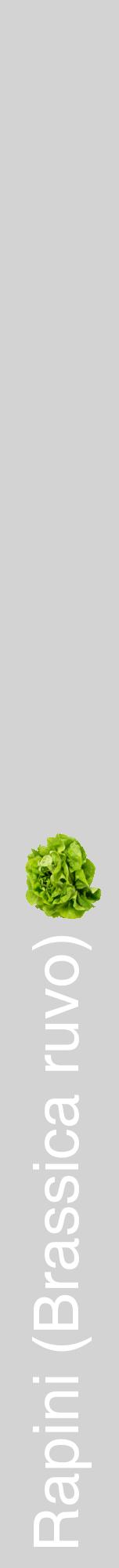 Étiquette de : Brassica ruvo - format a - style blanche56hel avec comestibilité simplifiée