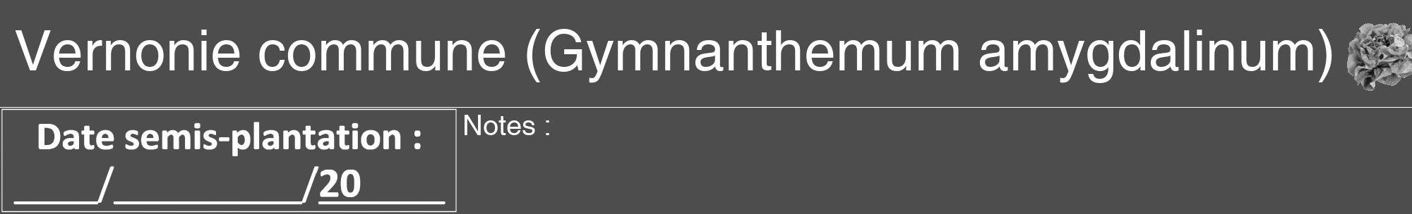Étiquette de : Gymnanthemum amygdalinum - format a - style blanche28hel avec comestibilité simplifiée