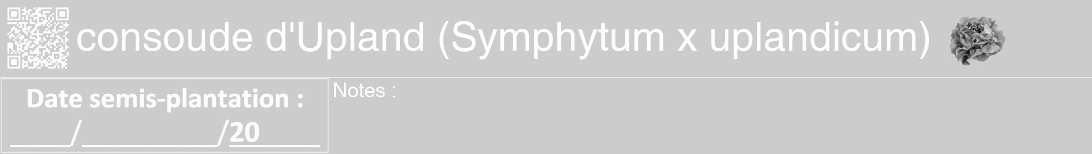 Étiquette de : Symphytum x uplandicum - format a - style blanche0hel avec qrcode et comestibilité simplifiée