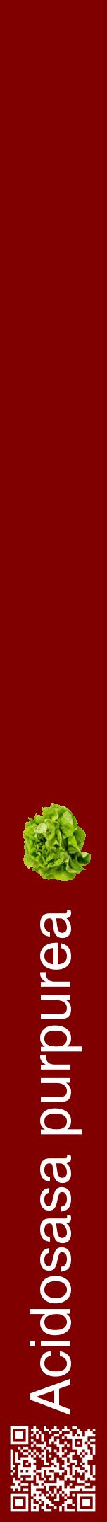 Étiquette de : Acidosasa purpurea - format a - style blanche29hel avec qrcode et comestibilité simplifiée