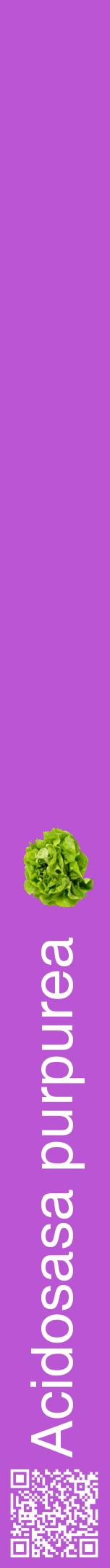 Étiquette de : Acidosasa purpurea - format a - style blanche50hel avec qrcode et comestibilité simplifiée
