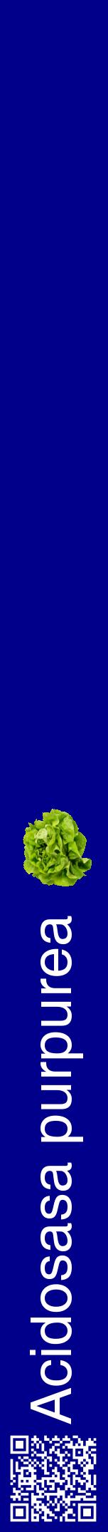 Étiquette de : Acidosasa purpurea - format a - style blanche7hel avec qrcode et comestibilité simplifiée