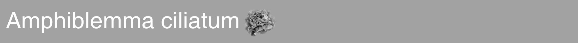 Étiquette de : Amphiblemma ciliatum - format a - style blanche38basiquehel avec comestibilité simplifiée