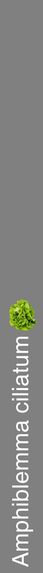Étiquette de : Amphiblemma ciliatum - format a - style blanche57hel avec comestibilité simplifiée