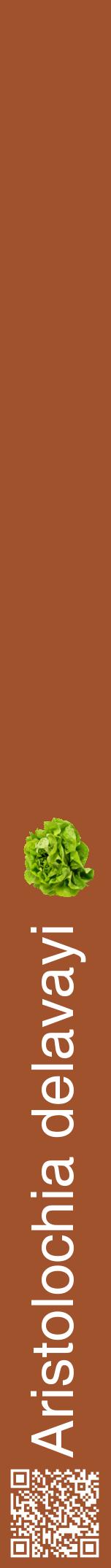 Étiquette de : Aristolochia delavayi - format a - style blanche32hel avec qrcode et comestibilité simplifiée